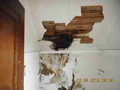 13279 Lauder (36)_m.jpg